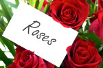 write a message with some roses